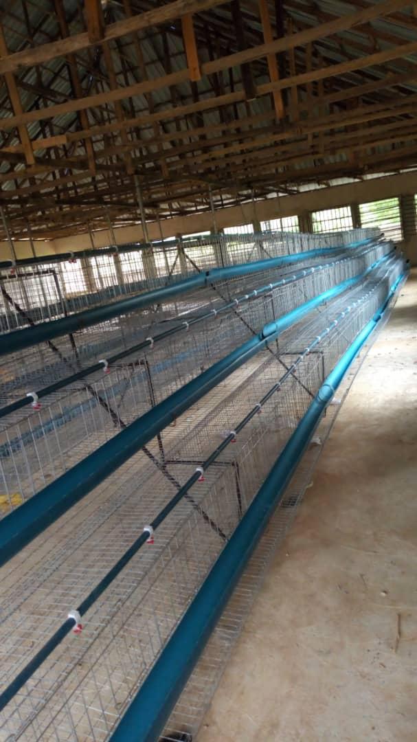 Joiner For PVC Feeder | For Battery Cages