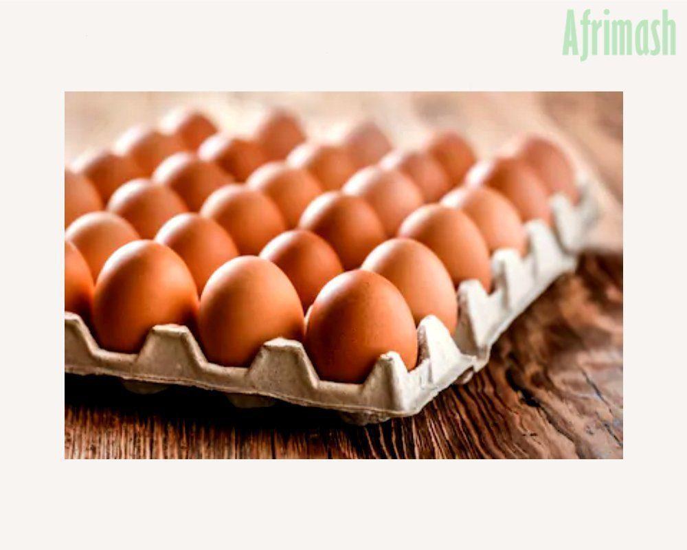 Paper Egg Crates (White | Brown | Bundle of 100 pieces) - Brown