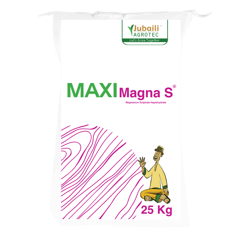 Maxi Magna S (Magnesium Sulfate Fertilizer | 25kg |50kg)