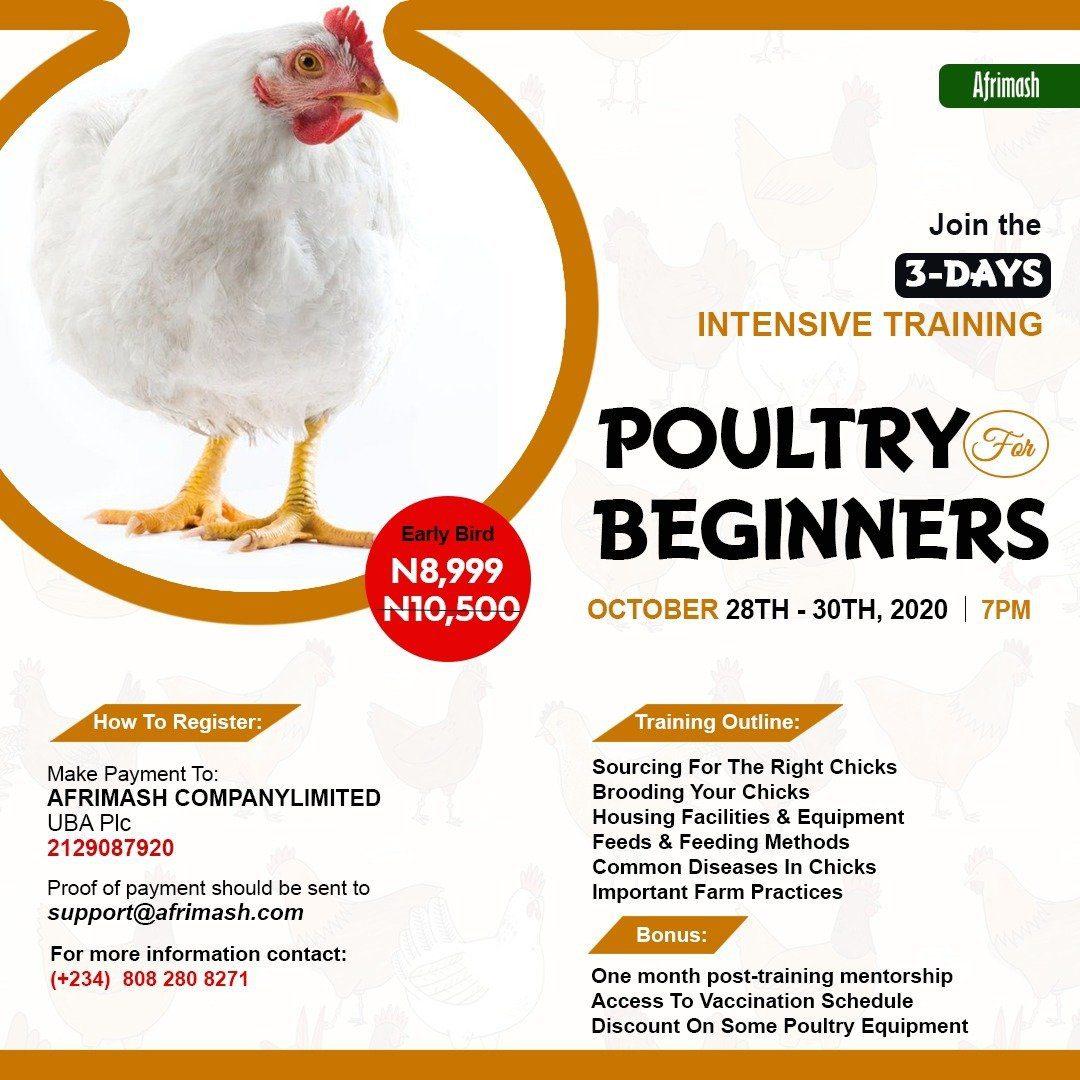 Intensive Training on Poultry for Beginners