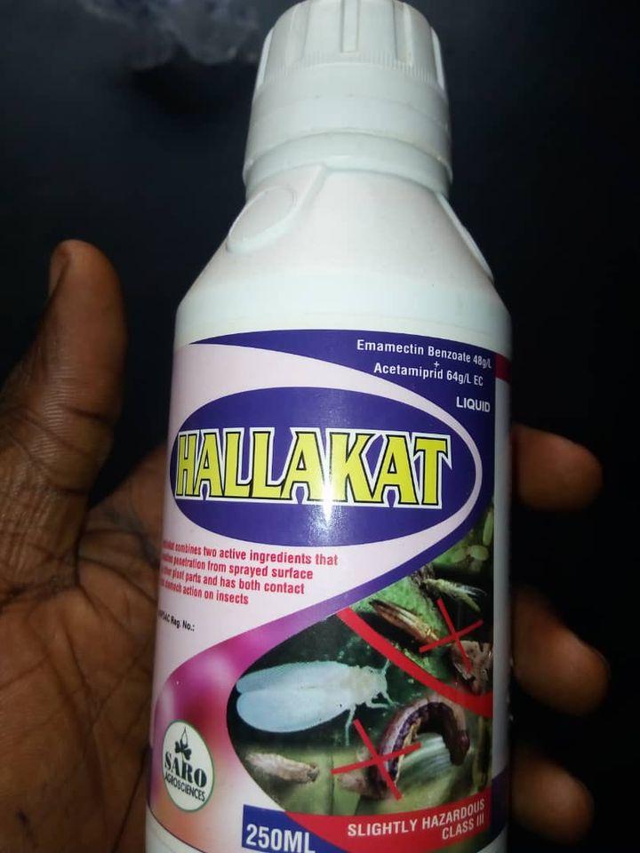 Hallakat Insecticide (Emamectin Benzoate | Acetamiprid | 250mL)