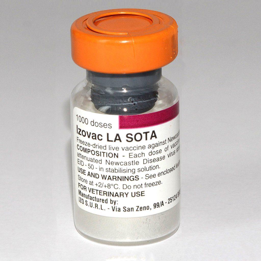 LaSota Vaccine (Medium Dose Vials | 100 | 200 | 500 | 1000 | 2000) + Transport Flask