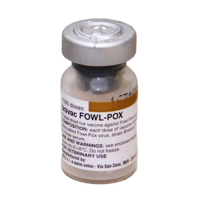 Fowlpox Vaccine (Large Dose Vial | 500 | 1000) + Transport Flask - 200-Dose
