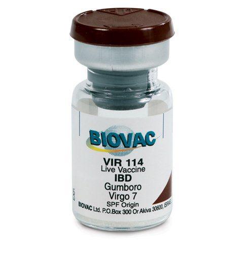 Gumboro Vaccines (Large Dose Vial | 100 | 200  | 500  | 1000 | 2000) + Transport Flask