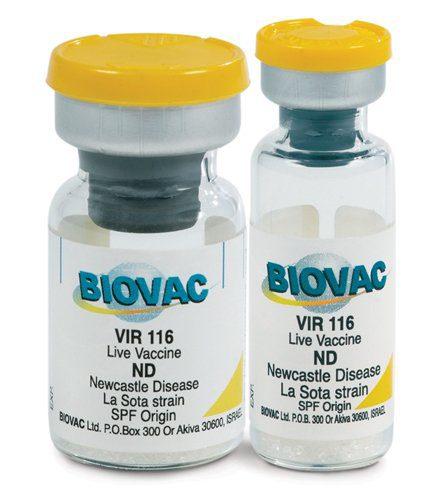 LaSota Vaccine (Medium Dose Vials | 100 | 200 | 500 | 1000 | 2000) + Transport Flask