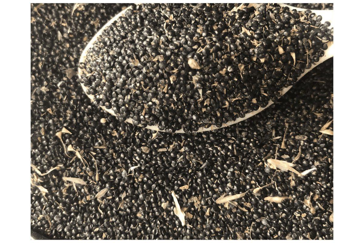 Soko Vegetable Seed | per 50gram