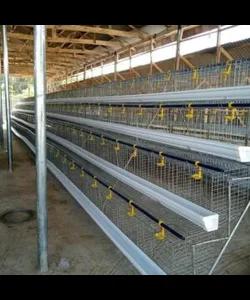 Locally Fabricated Battery Cage – (Various Birds Capacity Battery Cage With Imported PVC Feeder) - 128 birds