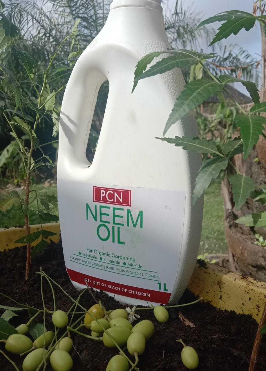 NEEM OIL |1L