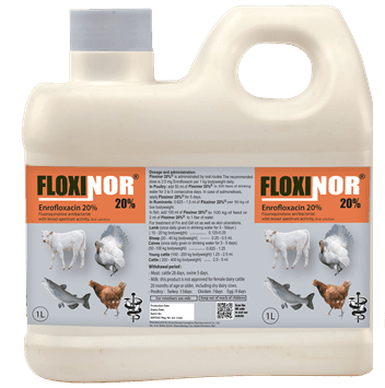 Floxinor – Effective Enrofloxacin Oral Antibiotic for Poultry, Livestock, and Fish