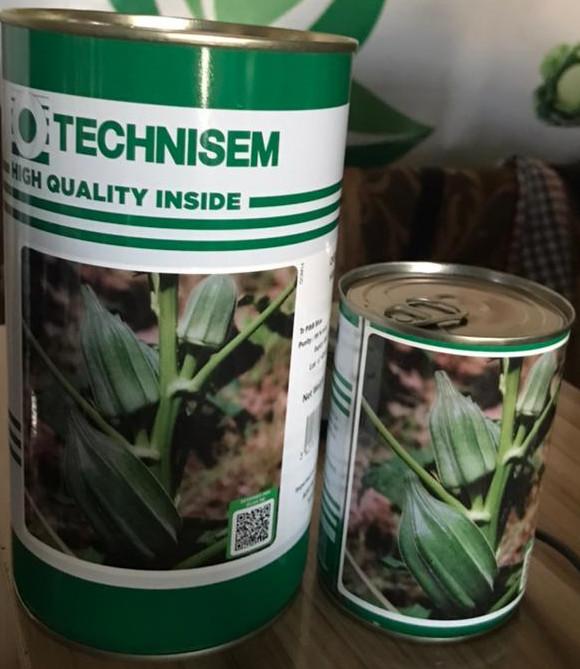 Technisem Hire Okra