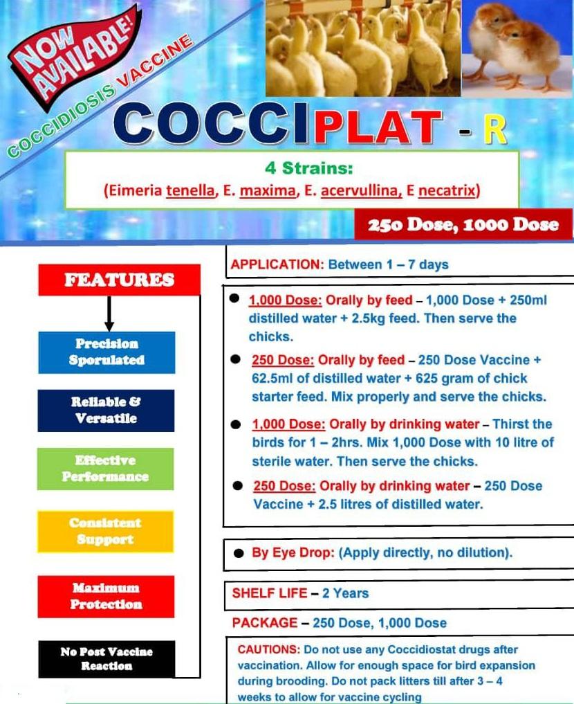 COCCIPLAT-R Coccidiosis Vaccine (Large Dose Vial |250 | 1000 ) + Transport Flask