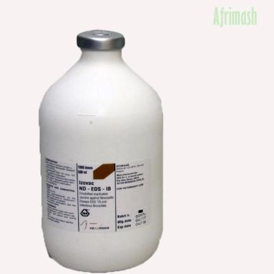 ND IB EDS (3 in 1 Vaccine | 500-Dose | 1000-Dose) + Transport Flask - 500-Dose