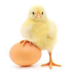 Afrimash Broiler(pack of 50)