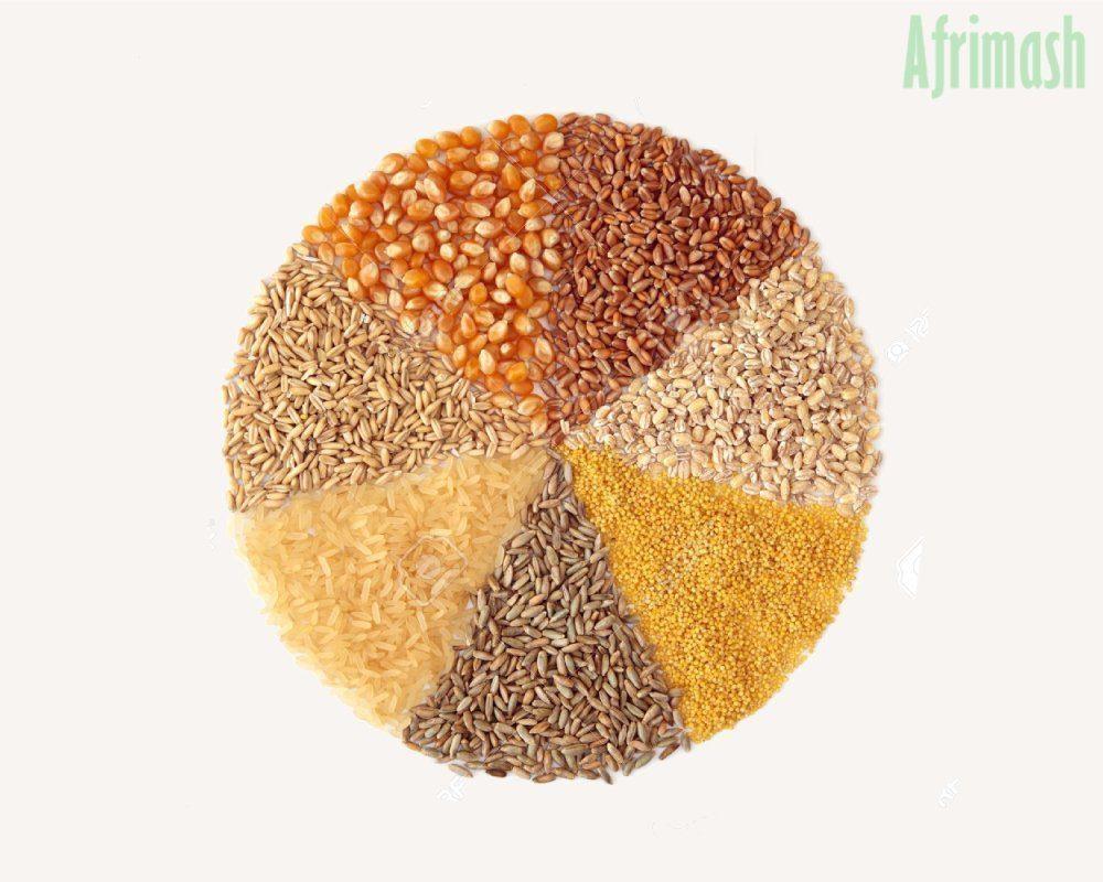 Terratiga Layer Starter Feed | 50Kg