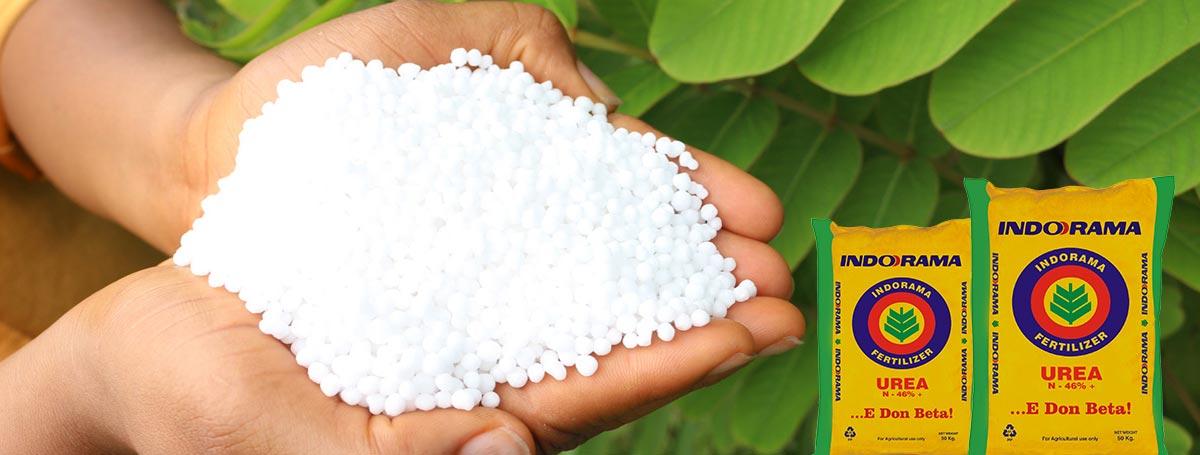 Urea Fertilizer (Indorama | 50kg | 46% Nitrogen)