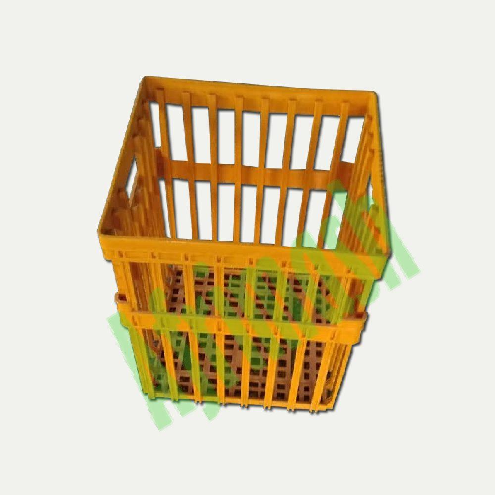 Specialized Combo Offer: Equip Your Point of Lay Birds