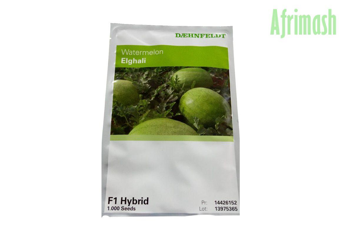 GreyBell Watermelon Seeds |  Hybrid