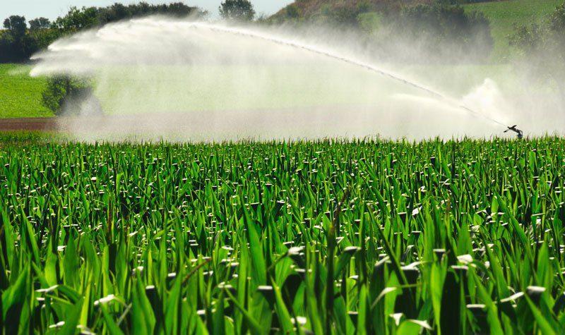 Irrigation Rain Gun (Py 40 | Py 50)