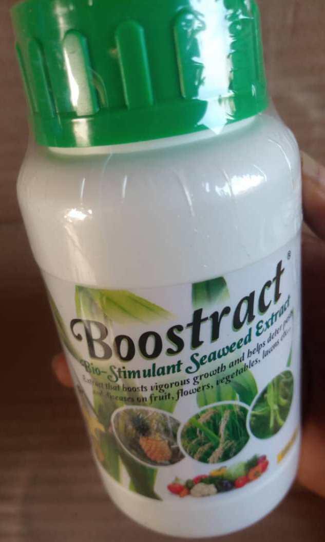 Boostract (Bio-Stimulant Seaweed Extract )
