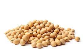 Soya Beans Seeds for Planting (2kg Packs)