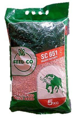 Seed Co Maize Hybrid Seeds