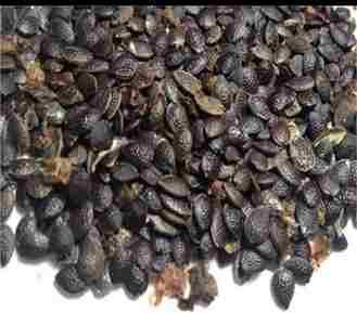 Passion Fruit Seeds