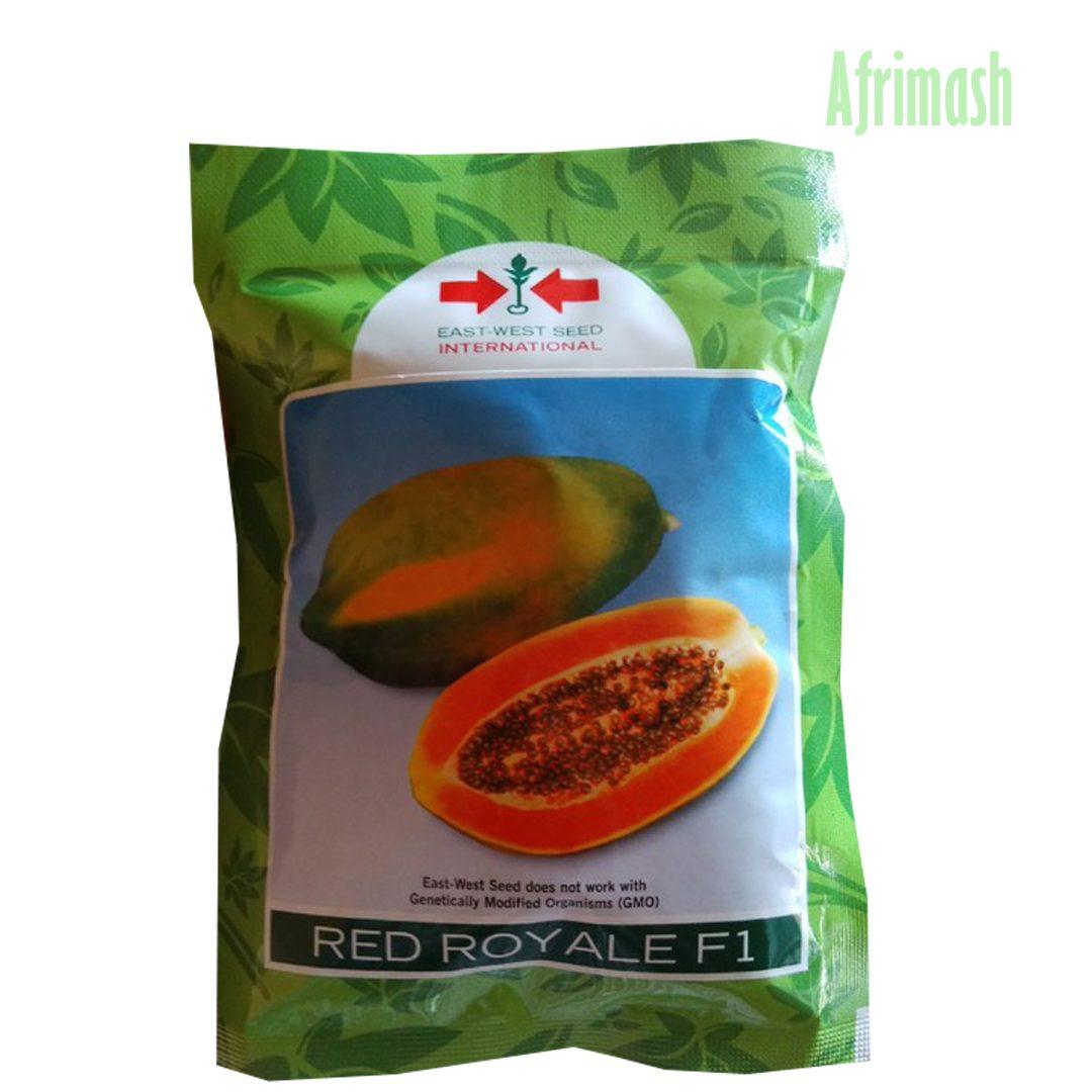 Red Royale F1 Dwarf Pawpaw Seeds |100g