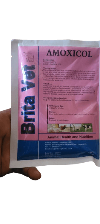 Amoxicol: A Comprehensive Broad-Spectrum Antibiotic for Poultry Health