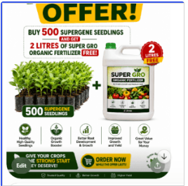 offer: Buy 500 Supergene Seedlings & Get 2 Litres of Super Gro Organic Fertilizer FREE