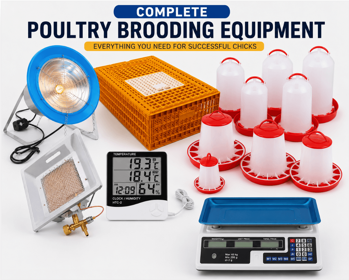 Combo: Complete Poultry Brooding Equipment - 10% Off
