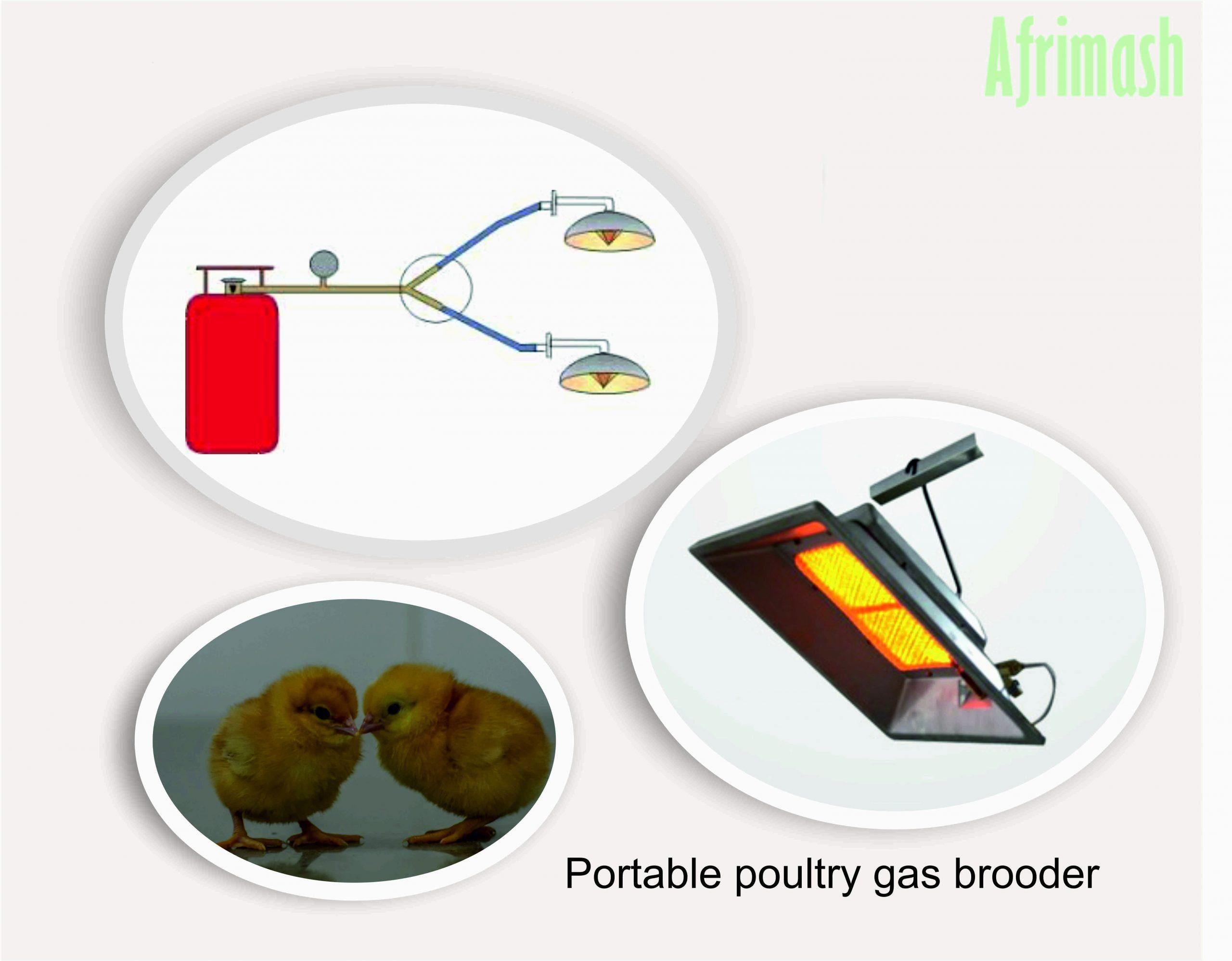 Gas Brooder with Infrared Functions(1000 | 2000 Chicks Capacity)