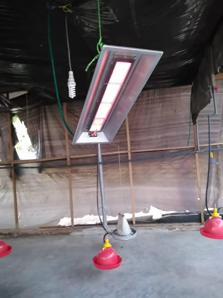 Gas Brooder with Infrared Functions(1000 | 2000 Chicks Capacity)