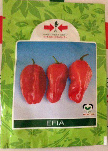 Efia Hot Pepper Seeds (East West Seed Brand) | 5g