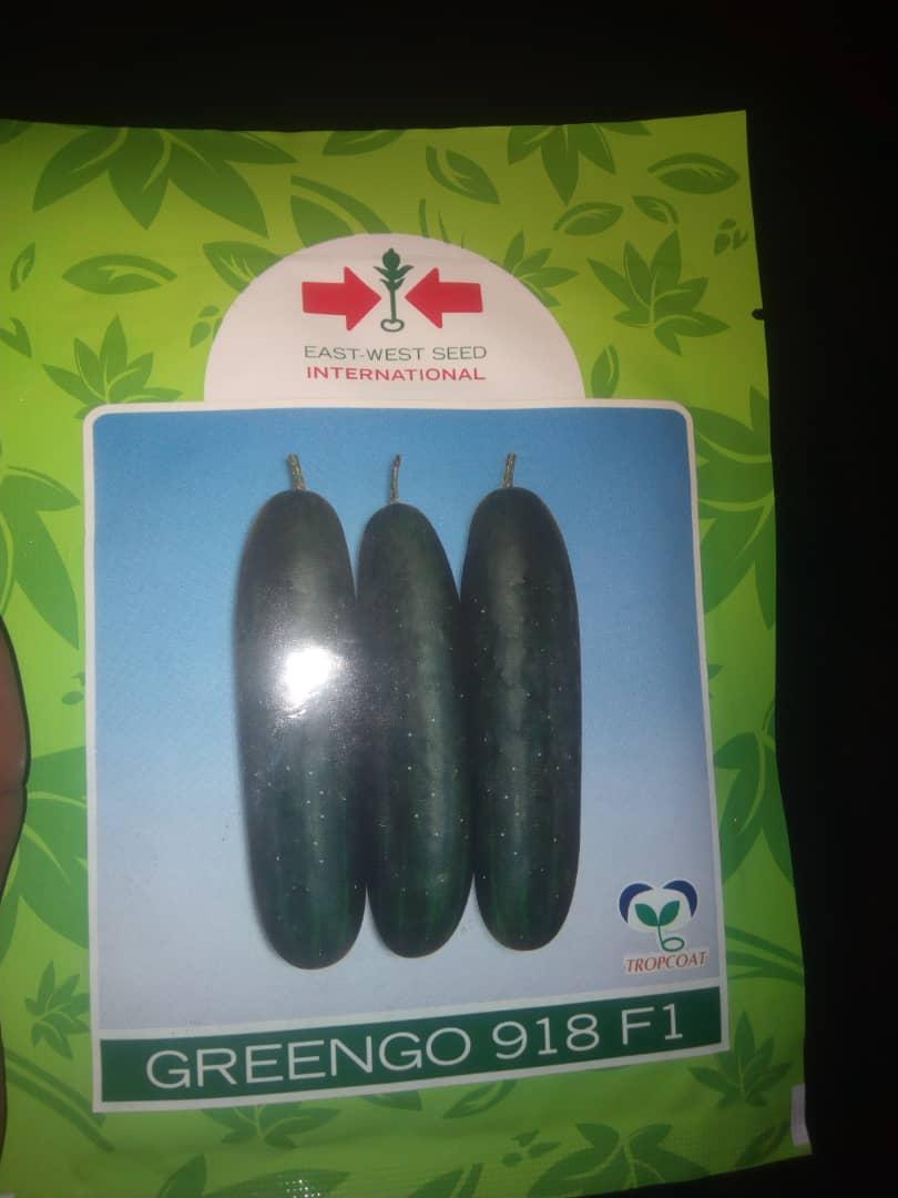 Greengo 918 F1 Cucumber Seeds (500 Seed)